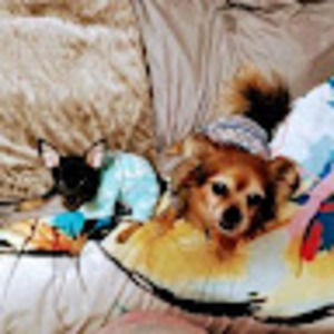 Meet your Posher, Auntie